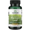 Full Spectrum Plantain Leaf, 400mg - 60 Caps