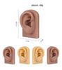 Silicone Ear Model for Light/Dark Skin Tones - Soft Ear Model for Ear Picking Practice