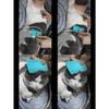 4pcs Pet Grooming Flea & Lice Comb, Double-Sided Fine Cat Hair Detangling Brush, Pet Fur Beauty Products