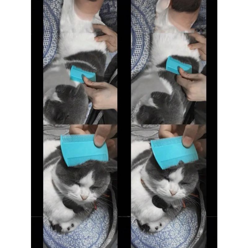 4pcs Pet Grooming Flea & Lice Comb, Double-Sided Fine Cat Hair Detangling Brush, Pet Fur Beauty Products