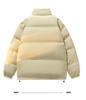Teen Stand Collar Cotton Jacket - Trendy Padded Outerwear for Junior & High School Boys