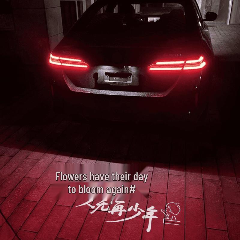 BMW License Plate Projection Lights: Compatible with 1, 3, 4, 5 Series, X1, iX3, X5, M3, M4 - Welcome Atmosphere Upgrade.