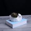 Horticultural Creative New Succulent Flower Pot Simple White Peacock Ceramic Flower Pot Ornament