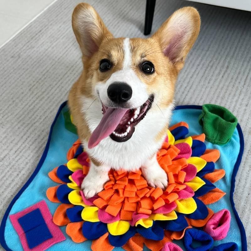 Interaktivní čichací podložka pro mazlíčky Materiál: Fleece Podporuje přirozené hledání potravy