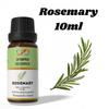 Ananta Rosemary Essential Oil 10 Ml | Herbal Aromatic Oil | Diffuser & Home Fragrance Use