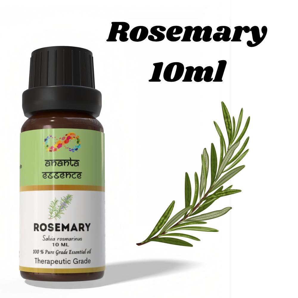 Ananta Rosemary Essential Oil 10 Ml | Herbal Aromatic Oil | Diffuser & Home Fragrance Use