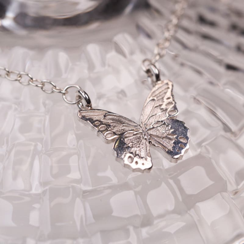 XII WEOL Magnificent butterfly(N)