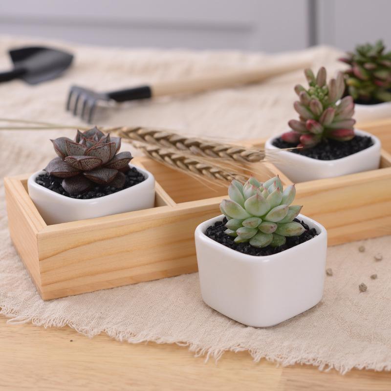 Set of 5 Ceramic Succulent Pots – Mini Flower Planters with Bamboo Tray for Home & Office Decor