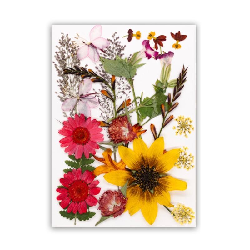 Dried Flower Leaf Kits for Epoxy Jewelry Molds Scrapbooking Supplies and Artistic Soap Making Phone Case Decoration