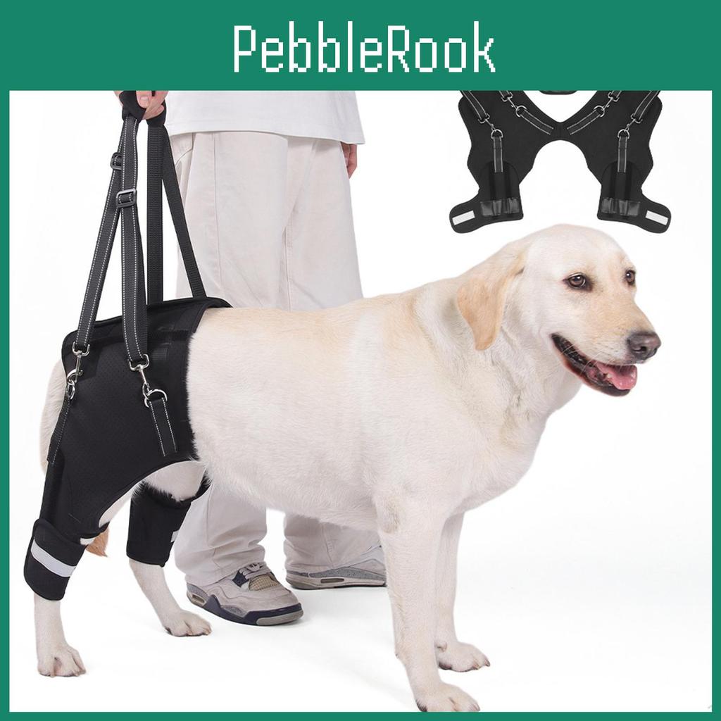 Leg Dog Back Support Harness Mobility Aid