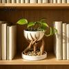 Подарок для любителей садоводства 3D-печатный кашпо-корень дерева, Цветочный горшок с текстурой бионического дерева, с дренажным отверстием, отверстием для суккулентов, Контейнер-органайзер для стола