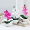 Aphrodite Simulation Phalaenopsis Flower Bonsai Home Living Decoration Room