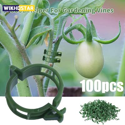 100 Stück Pflanzenstützklammern, Kunststoffbinder, Spalierklammern, Garten-, Gemüse-, Tomaten-, Gewächshaushalter für Gartengeräte, Zubehör