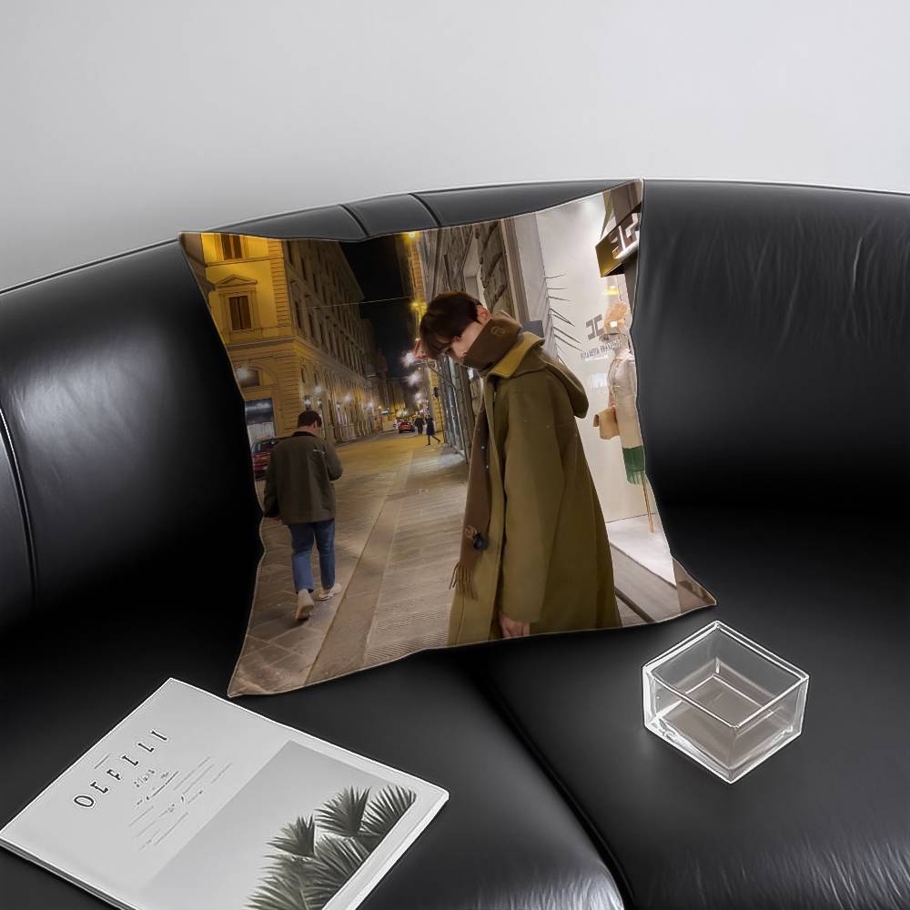 Kpop Singer Cha EEun WWoo Pillow Case Antidustmite Invisible zipper Sofa Bed