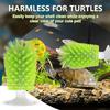 Suction Cup Turtle Cleaning Brush for Shell Scrubbing Durable Bristle Cleaner Accessory for Aquarium Turtle Tank Decor