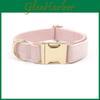Collier pour animal de compagnie Collier pour chien Non extensible Avec boucle dorée Pour chiens de petite à grande taille