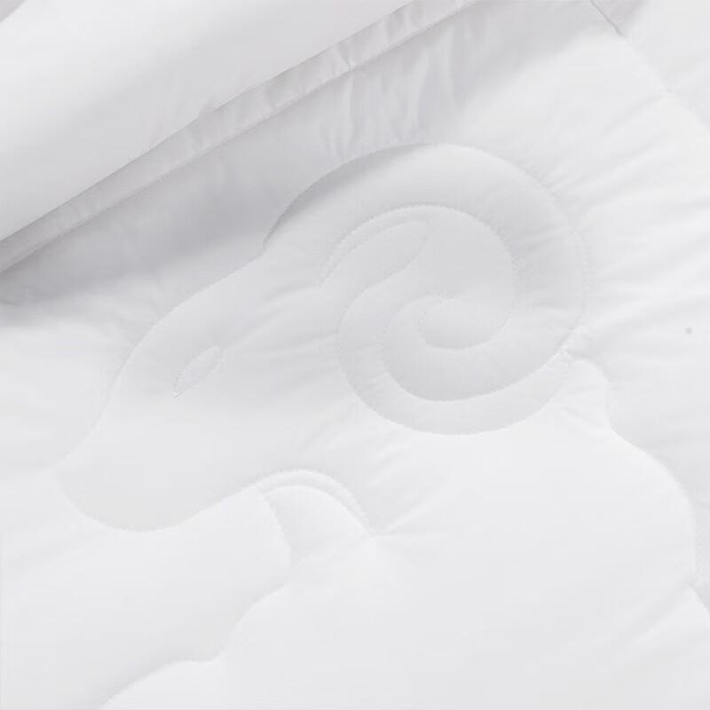 Mercury Home Textiles Antibacterial Australian Wool Quilt