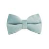 Lake green velvet pet collar dog leash