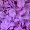 Non-Woven Artificial Rose Petals for Wedding Decorations and Hand-Thrown Arrangements