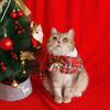 Jingle Bell Cape