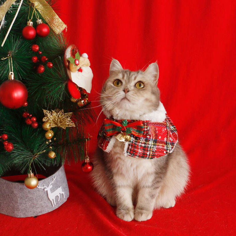 Jingle Bell Cape Jong Twinkle