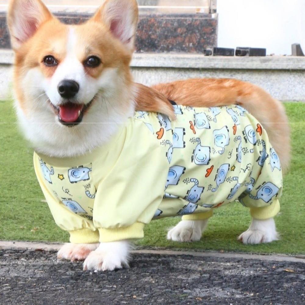 Anti-Slip Dog Dust-proof Clothing High-elasticity Pet Strolling Pants Dog Leg Protectors  Adventure
