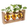 Plant Propagation Station Glass Vase with Wooden Frame Hydroponic Plant Terrarium Kit Love Bulb Vase for Indoor Plants Desktop Decor