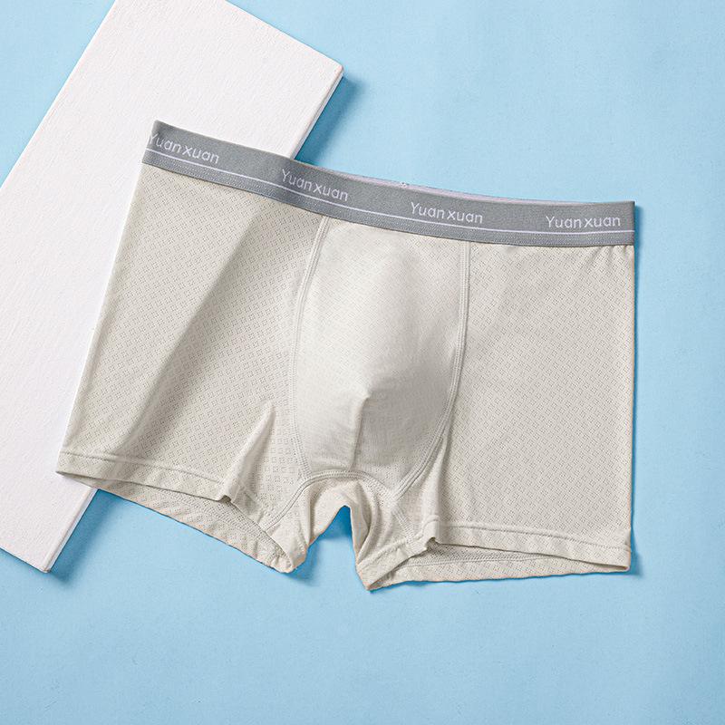 Summer Men's Ice Silk Underwear Thin Teenage Underwear Men's Boys' Underwear Panties
