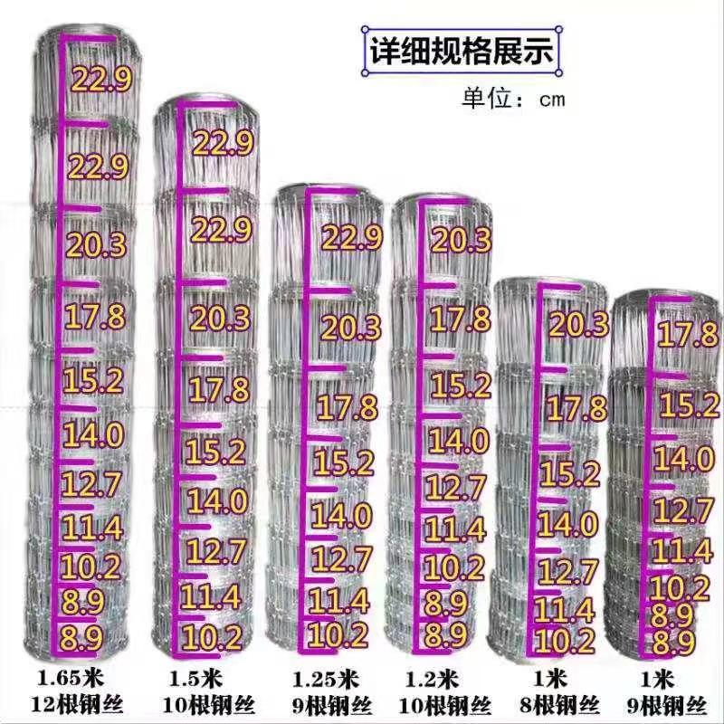 Custom High Strength Galvanized Farm Fencing Wire Mesh Hinge Joint Fence For Field Deer Goat Sheep