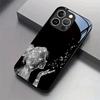 Star Dust Girl Tempered Glass Phone Case Suitable for iPhone17 16 15 14 13 12 11Pro/Max/Plus Anti Drop and Anti Shock Back Cover