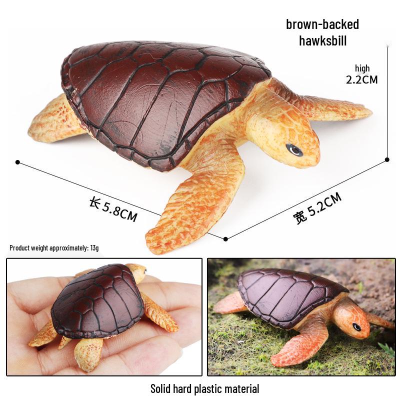 Children's Cognitive Marine Animal Models: Sea Turtle and Tortoise Toys