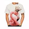 Camisetas e regatas – Camisetas