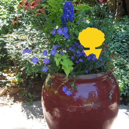 5Pcs Nützliche selbstklebende Sun-proof Fly Klebrige Haus Form Blattläuse Falle Haushaltswaren