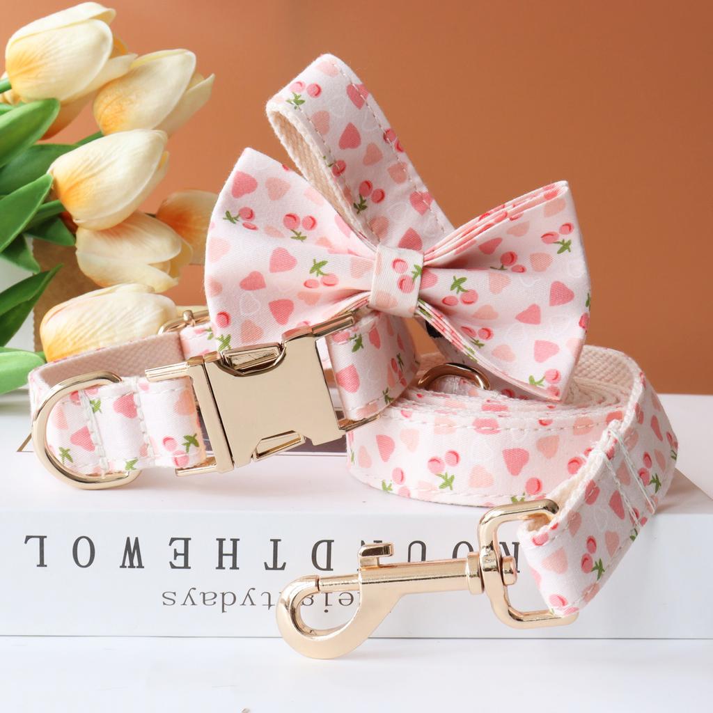 Personalized Customized Dog Collar Set Soft Padded Free Engraving Name for Small Medium Large Dogs Adjustable 8 Colors Dog Leash