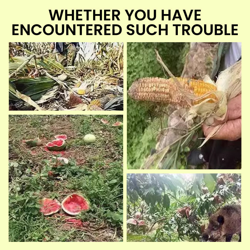 Skrämma Vildsvin Avskräckande Högt Hundskall Solcellsvarningsljus Nattlig Blixtartefakt Djuravskräckare Med Hög Volym