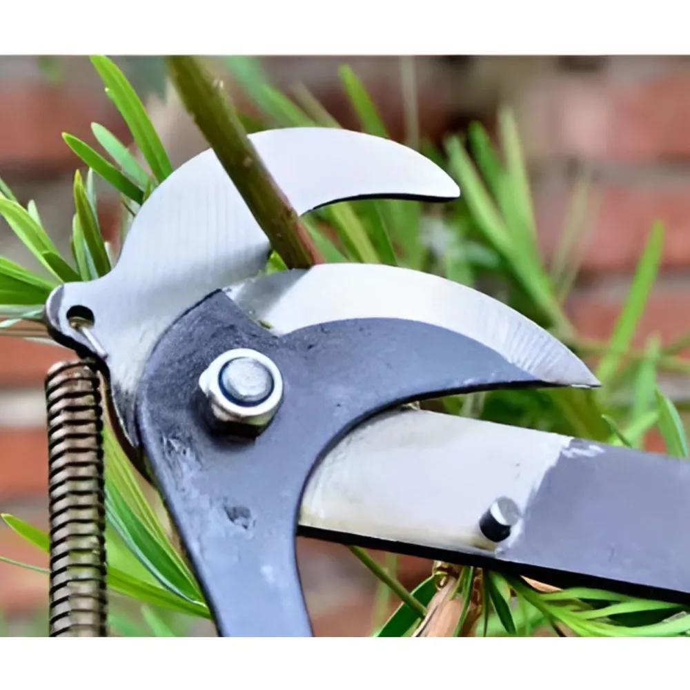 Sugar cutter