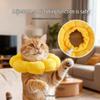 Kedi – Kedi bakım ürünleri
