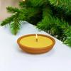 Pack 2 Citronella Anti-Mosquito Candles In Terracotta Pot
