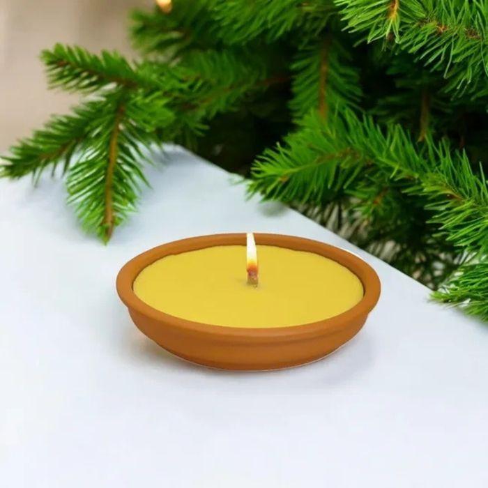 Pack 2 Citronella Anti-Mosquito Candles In Terracotta Pot