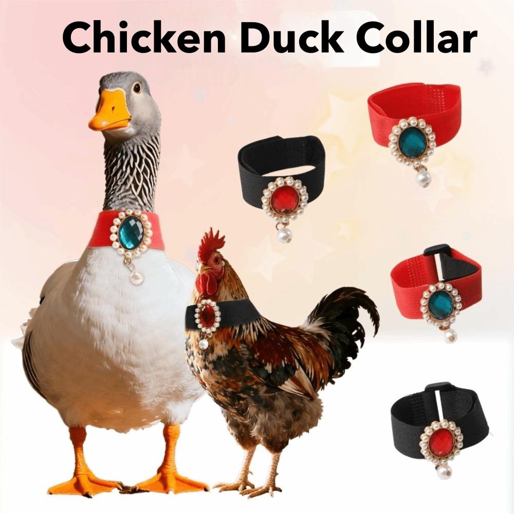 Creative Adjustable Rooster Collar Reduce Crowing Anti Noise Anti Noise Collar No Crow Neck Belt Residential Area