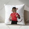 MMilo J  Pillow Cases for Bedroom Living Room Sofa Home Decor Polyester Cushion Cover with Zipper