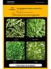60-Type Multi-Functional Stem and Leaf Vegetable Cutter for Chives, Sauerkraut, Cabbage, Leeks, Scallions, Cilantro, Fennel, and Celery.