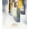 The Face Shop Fmgt Gold Collagen Ampoule Two-Way Pact - 2 Colors