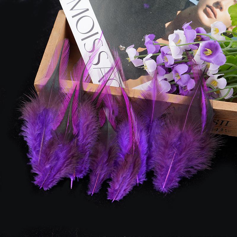 

Silver-Edged Pheasant Feather Cat Toy Stick