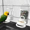 Bird Feeder Parrot Pigeon Automatic Feeder Water Feeder Anti Scattering and Anti Leakage Large Water Dispenser Drinking Bird