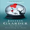 The World According To Anna by Jostein Gaarder Paperback Book 9781780229188