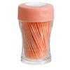 200 Double-Headed Plastic Toothpicks with Holder for Household & Hotel Use