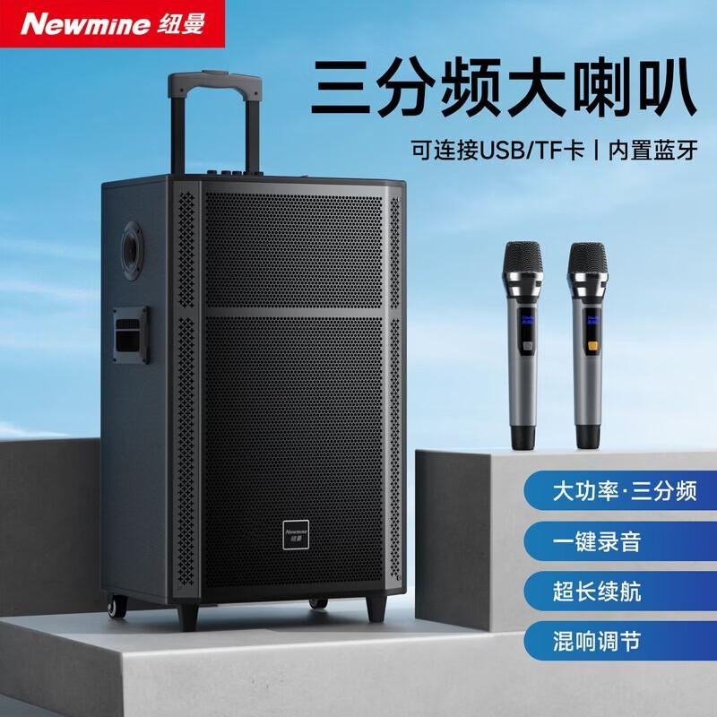 Newmine N529 15-inch Portable Trolley Bluetooth Speaker CN plug (adapter included)