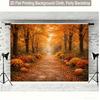 2D Warm Autumn Path with Pumpkins & Flowers Backdrop Photo Background