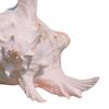 Conch Shell Aquarium Ornament Aquarium Decoration Accessories for DIY Crafts